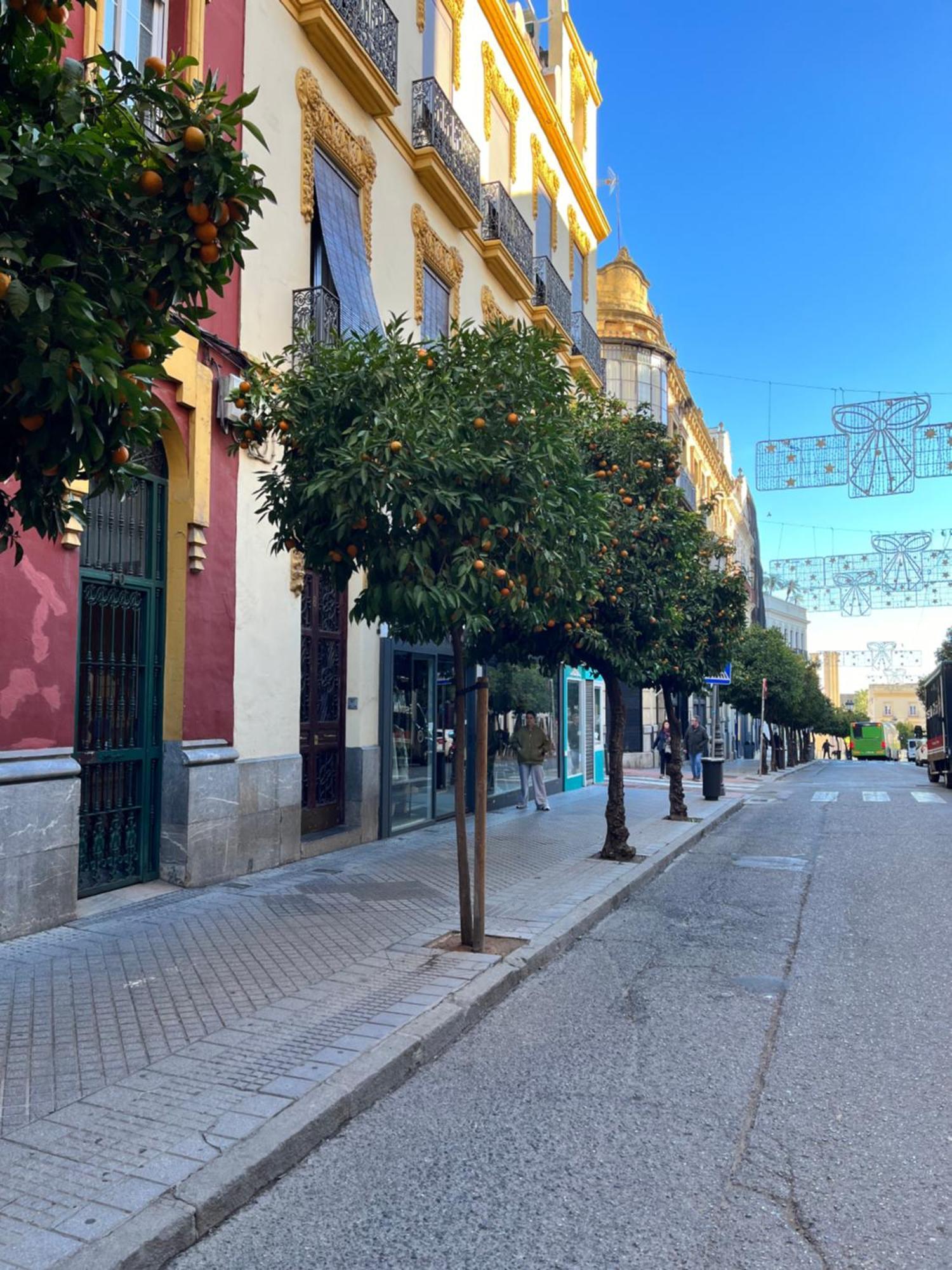 Centro- Apartamento Azonaicas Córdoba Eksteriør bilde